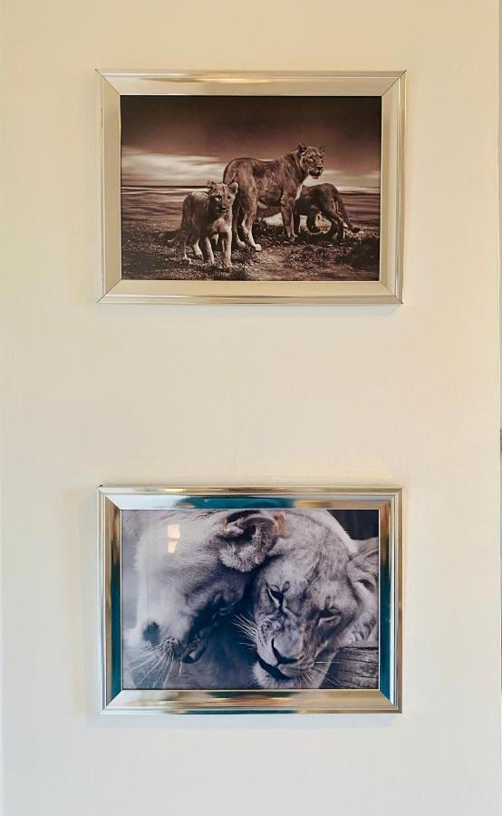 The Sleeping Lion - Dunoon Holiday Home Buitenkant foto